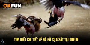 Tìm hiểu chi tiết đá gà cựa sắt okfun
